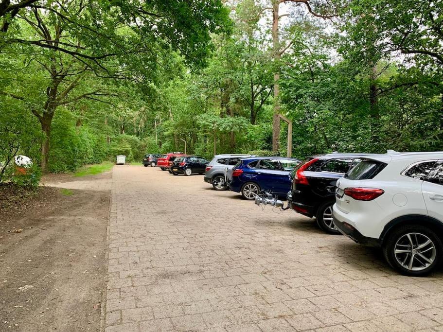 Veluwse Wolf: Natuurlijk Genieten! Otterlo Buitenkant foto