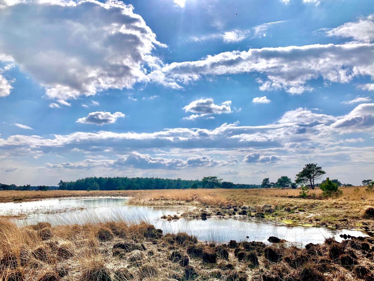 Veluwse Wolf: Natuurlijk Genieten! Otterlo Buitenkant foto